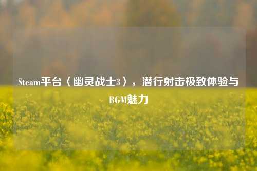Steam平台〈幽灵战士3〉,潜行射击极致体验与BGM魅力