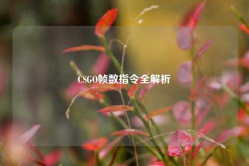 CSGO帧数指令全解析