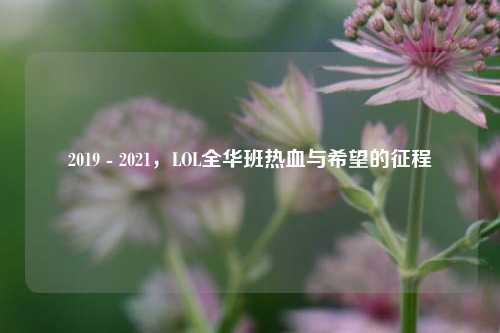 2019 - 2021，LOL全华班热血与希望的征程