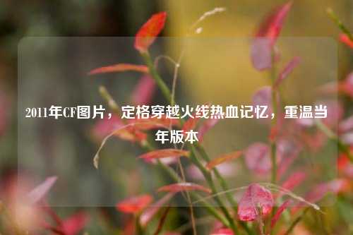 2011年CF图片,定格穿越火线热血记忆,重温当年版本