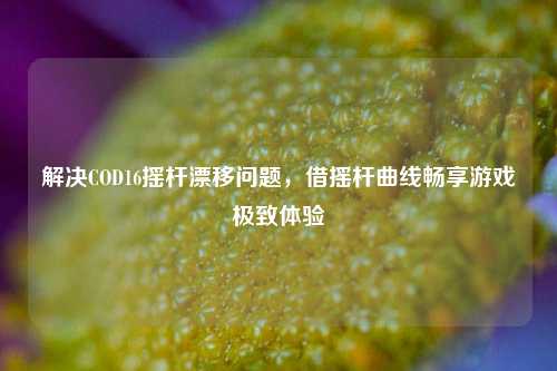 解决COD16摇杆漂移问题，借摇杆曲线畅享游戏极致体验