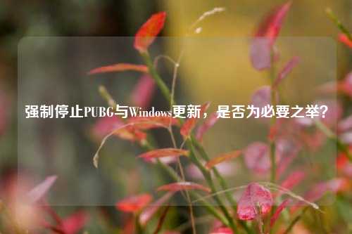 强制停止PUBG与Windows更新，是否为必要之举？