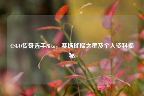 CSGO传奇选手Niko,赛场璀璨之星及个人资料揭秘