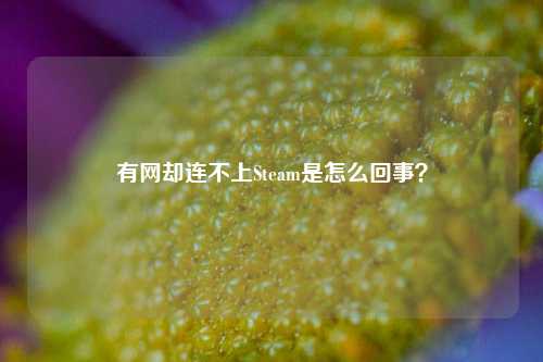 有网却连不上Steam是怎么回事?
