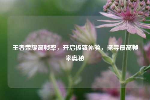 王者荣耀高帧率,开启极致体验,探寻最高帧率奥秘
