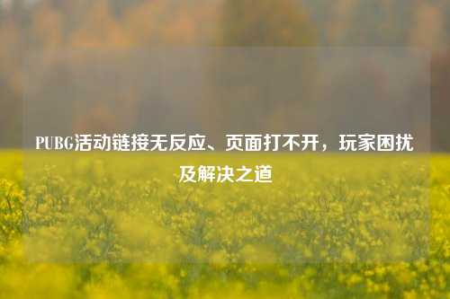 PUBG活动链接无反应、页面打不开,玩家困扰及解决之道