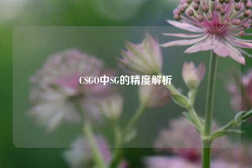 CSGO中SG的精度解析