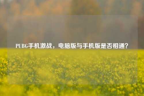 PUBG手机激战,电脑版与手机版是否相通?