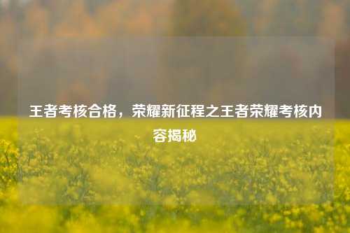王者考核合格,荣耀新征程之王者荣耀考核内容揭秘