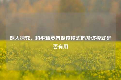 深入探究,和平精英有深夜模式吗及该模式是否有用