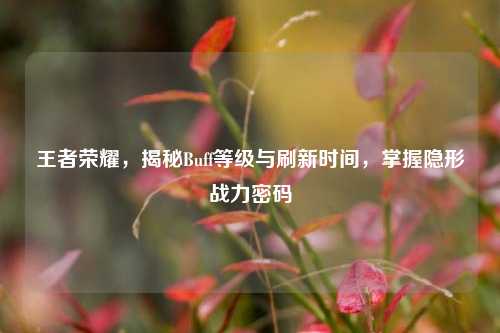 王者荣耀，揭秘Buff等级与刷新时间，掌握隐形战力密码