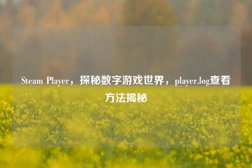 Steam Player，探秘数字游戏世界，player.log查看方法揭秘