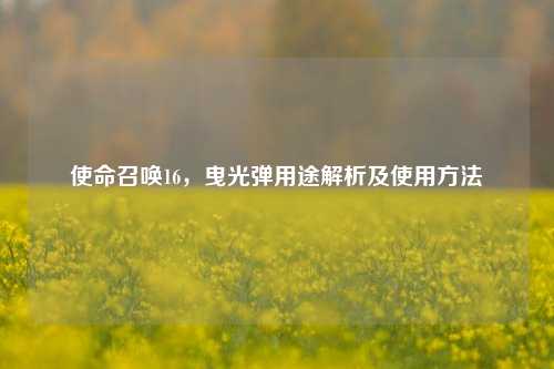 使命召唤16,曳光弹用途解析及使用方法