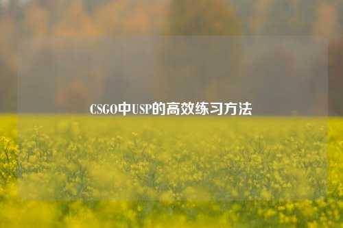 CSGO中USP的高效练习方法