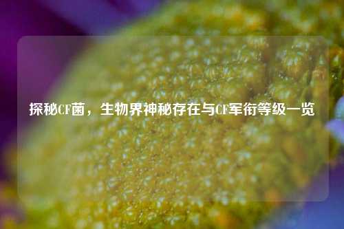 探秘CF菌,生物界神秘存在与CF军衔等级一览