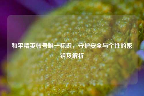 和平精英帐号唯一标识，守护安全与个性的密钥及解析