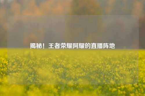 揭秘!王者荣耀阿耀的直播阵地