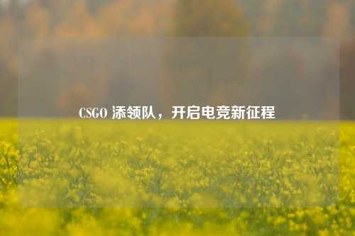 CSGO 添领队,开启电竞新征程
