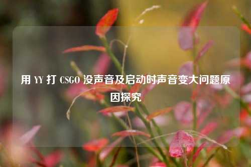 用 YY 打 CSGO 没声音及启动时声音变大问题原因探究