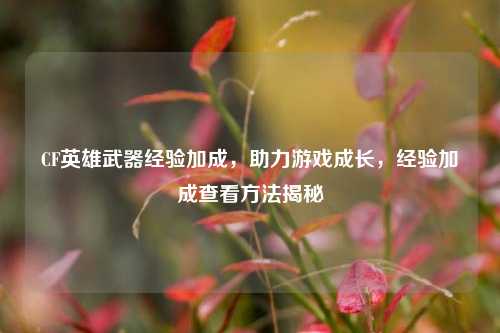 CF英雄武器经验加成，助力游戏成长，经验加成查看方法揭秘