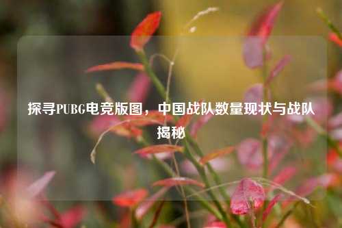 探寻PUBG电竞版图,中国战队数量现状与战队揭秘