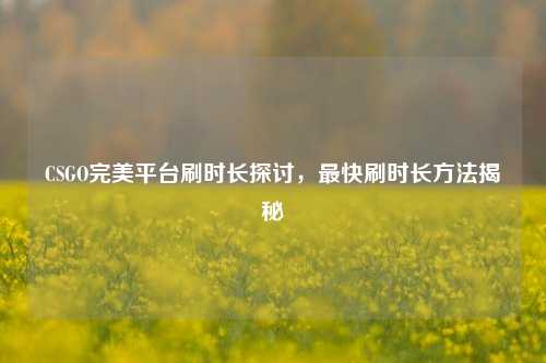 CSGO完美平台刷时长探讨,最快刷时长方法揭秘
