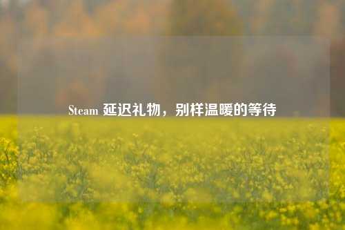 Steam 延迟礼物,别样温暖的等待