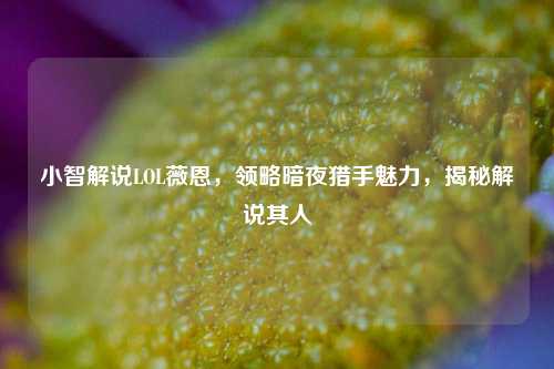 小智解说LOL薇恩,领略暗夜猎手魅力,揭秘解说其人