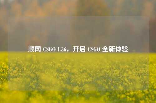 顺网 CSGO 1.36,开启 CSGO 全新体验
