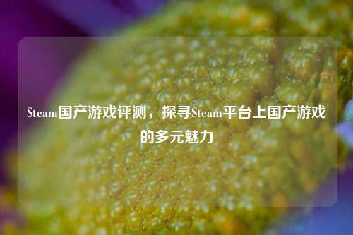 Steam国产游戏评测,探寻Steam平台上国产游戏的多元魅力