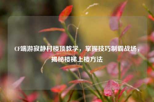 CF端游寂静村楼顶教学,掌握技巧制霸战场,揭秘楼梯上楼方法