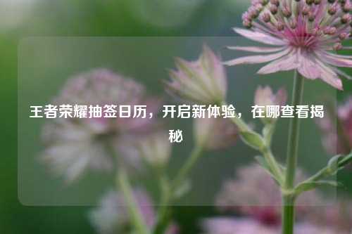王者荣耀抽签日历,开启新体验,在哪查看揭秘