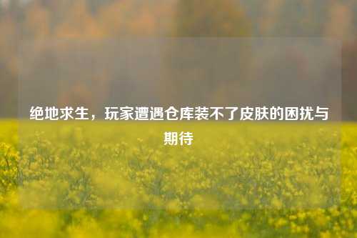 绝地求生，玩家遭遇仓库装不了皮肤的困扰与期待