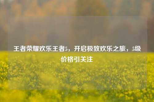 王者荣耀欢乐王者5,开启极致欢乐之旅,5级价格引关注