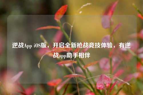 逆战App iOS版,开启全新枪战竞技体验,有逆战app助手相伴