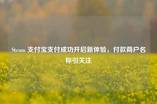 Steam 支付宝支付成功开启新体验,付款商户名称引关注