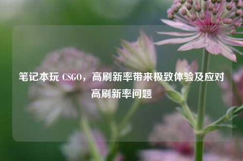 笔记本玩 CSGO,高刷新率带来极致体验及应对高刷新率问题