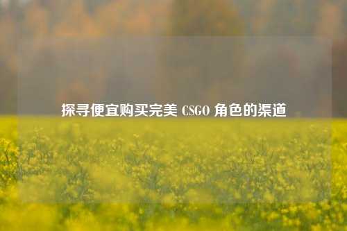 探寻便宜购买完美 CSGO 角色的渠道