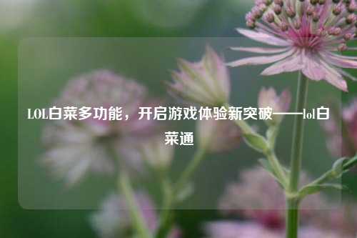 LOL白菜多功能,开启游戏体验新突破——lol白菜通