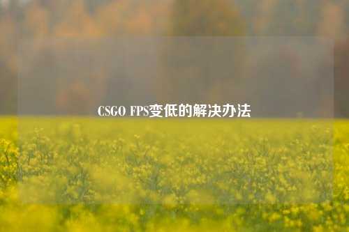 CSGO FPS变低的解决办法