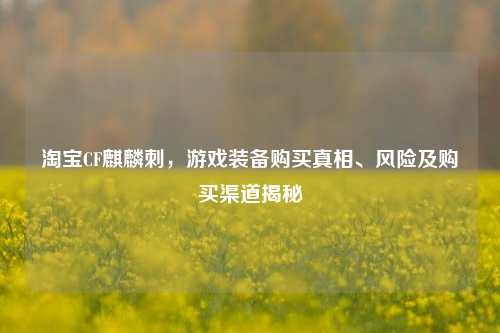 淘宝CF麒麟刺,游戏装备购买真相、风险及购买渠道揭秘