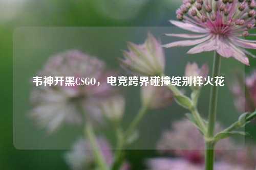 韦神开黑CSGO,电竞跨界碰撞绽别样火花