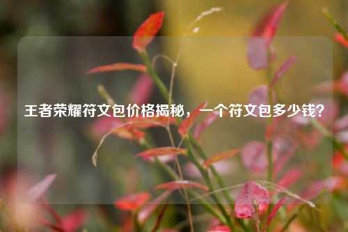 王者荣耀符文包价格揭秘,一个符文包多少钱?