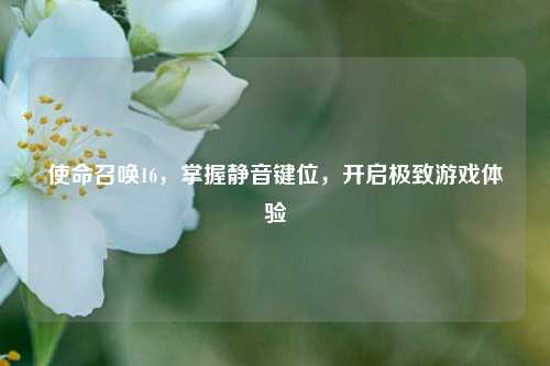 使命召唤16,掌握静音键位,开启极致游戏体验