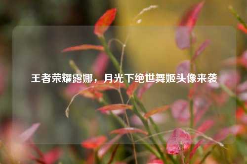 王者荣耀露娜,月光下绝世舞姬头像来袭