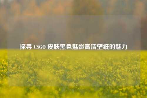 探寻 CSGO 皮肤黑色魅影高清壁纸的魅力