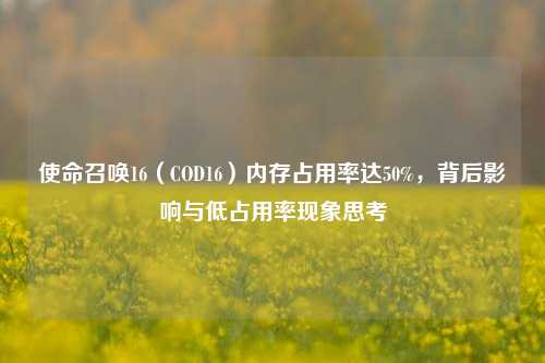 使命召唤16(COD16)内存占用率达50%,背后影响与低占用率现象思考