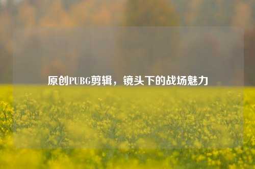 原创PUBG剪辑,镜头下的战场魅力
