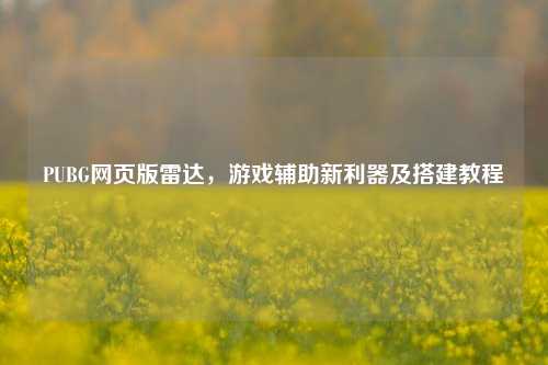 PUBG网页版雷达,游戏辅助新利器及搭建教程
