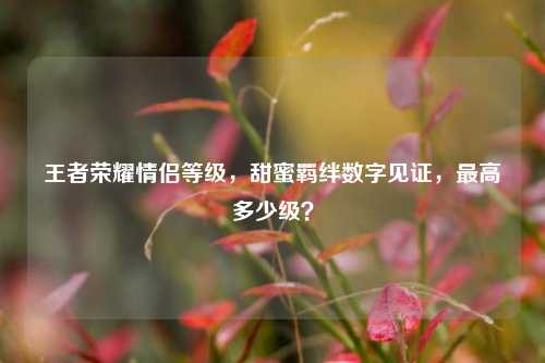 王者荣耀情侣等级,甜蜜羁绊数字见证,最高多少级?